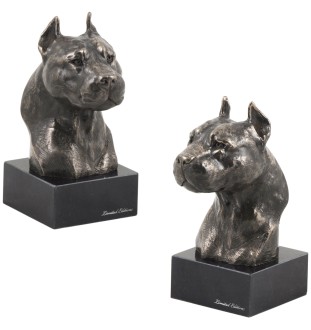 Amerykański Staffordshire terrier głowa na kamieniu Art-Dog